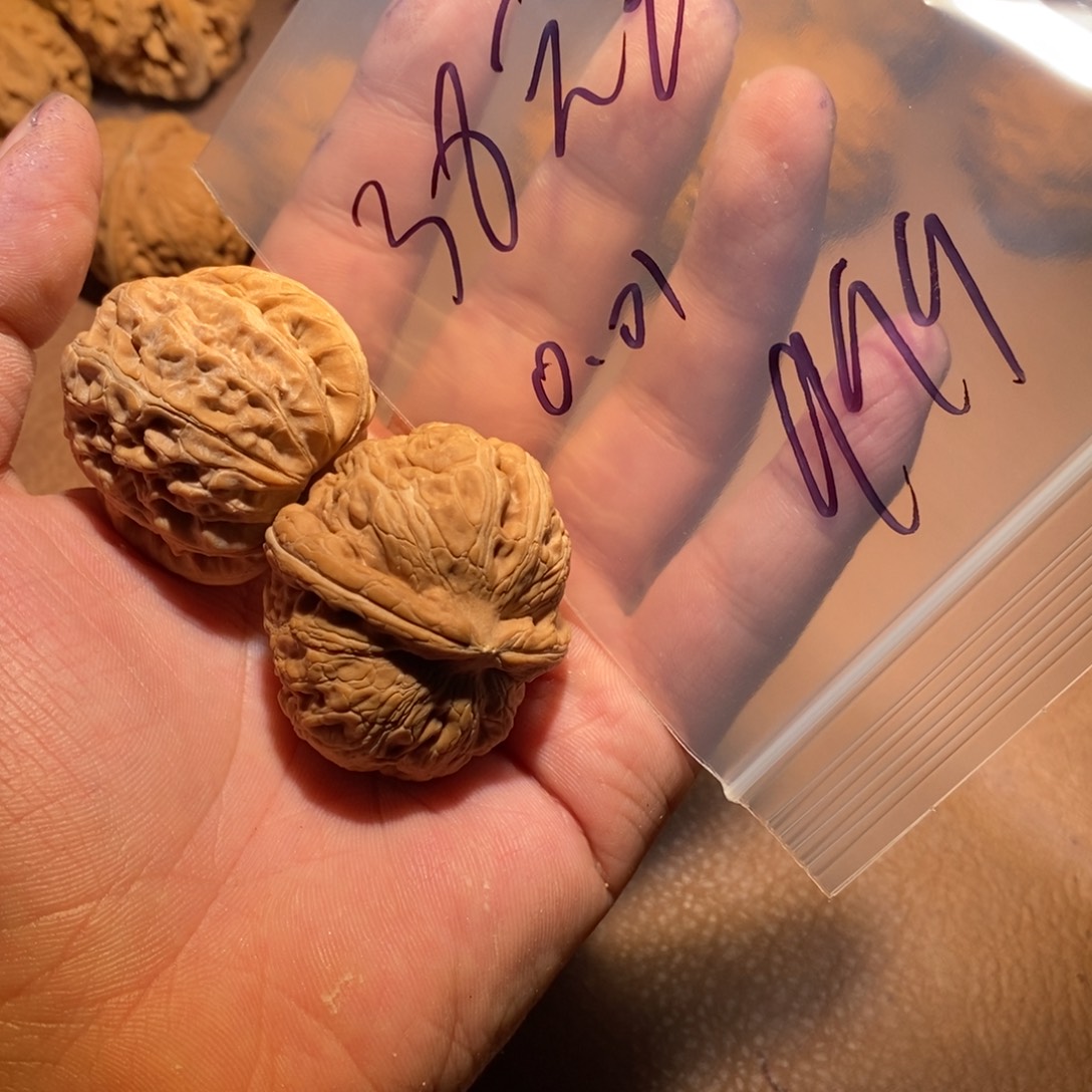 核桃手串/手链999