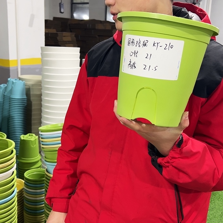 正品圆控口21高21果绿色8只无托