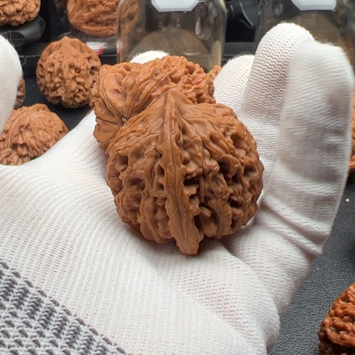 文玩核桃把件40水龙