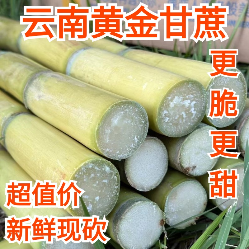 云南黄金甘蔗新鲜应季现砍现发清甜多汁带削皮刀