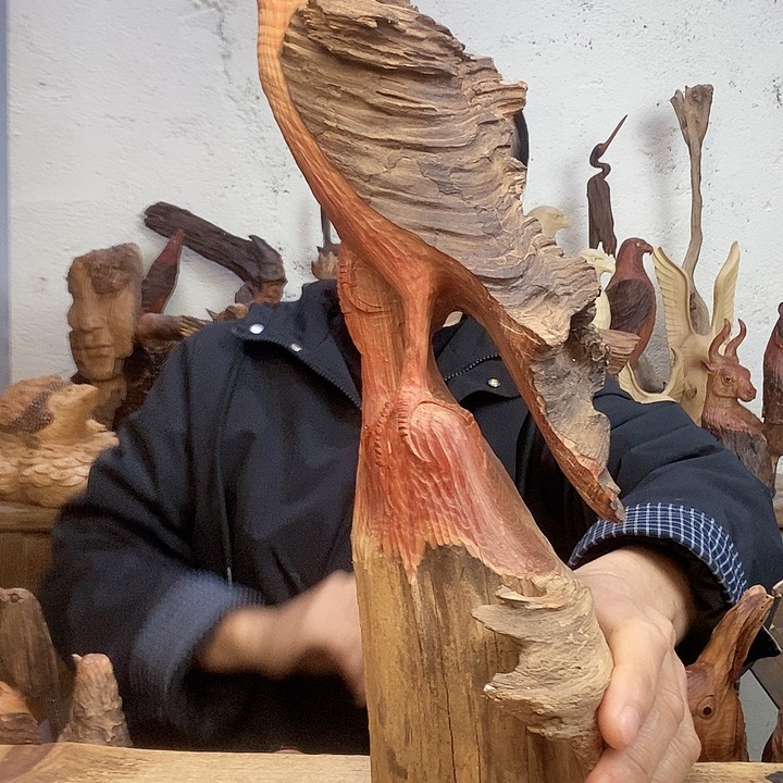 木5****马45666746696686656