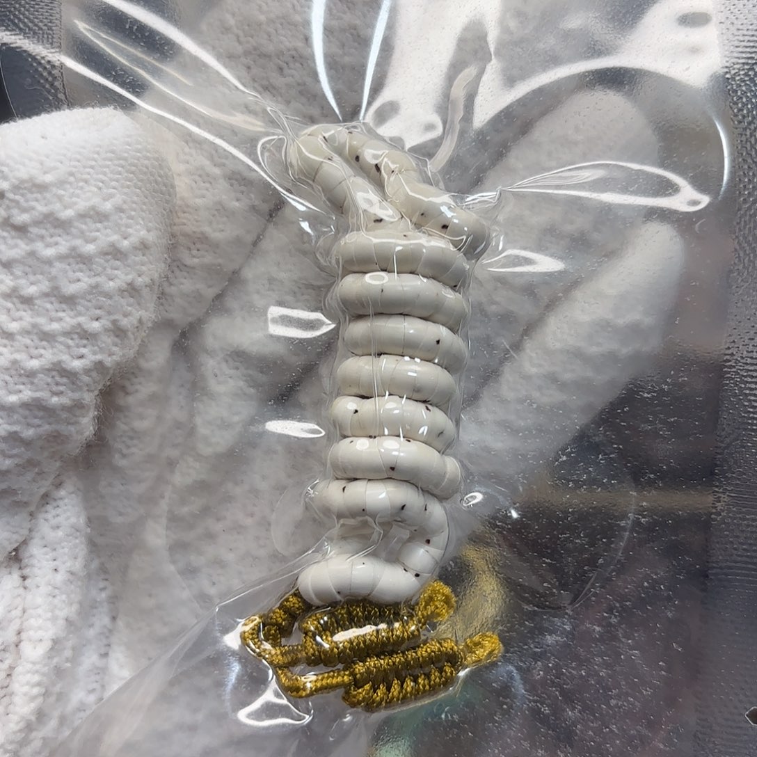 星月菩提吊坠原白大肠卡5数星