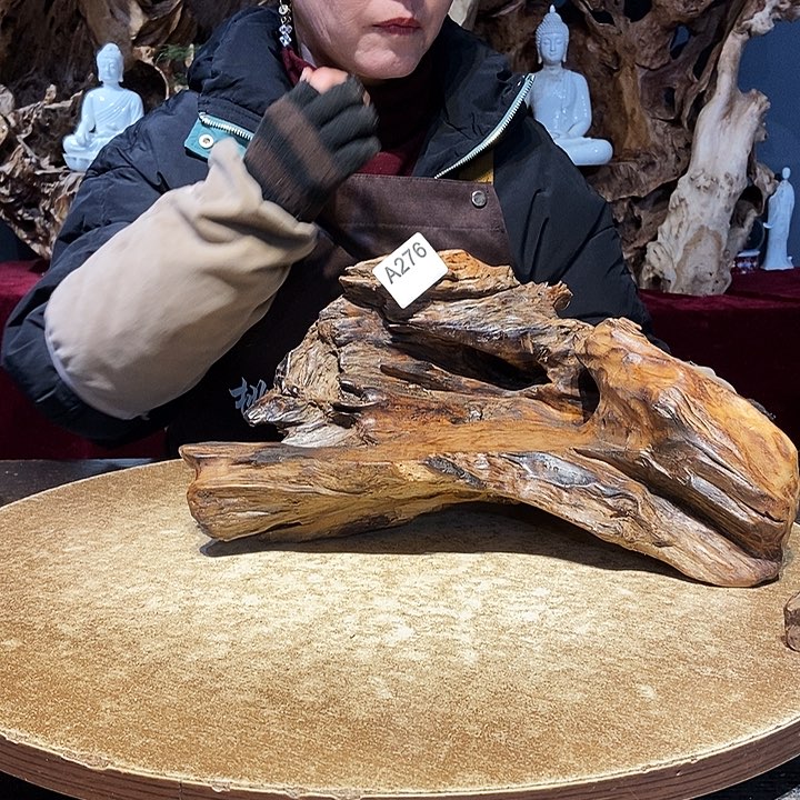 N****?276株木随行的小根艺的