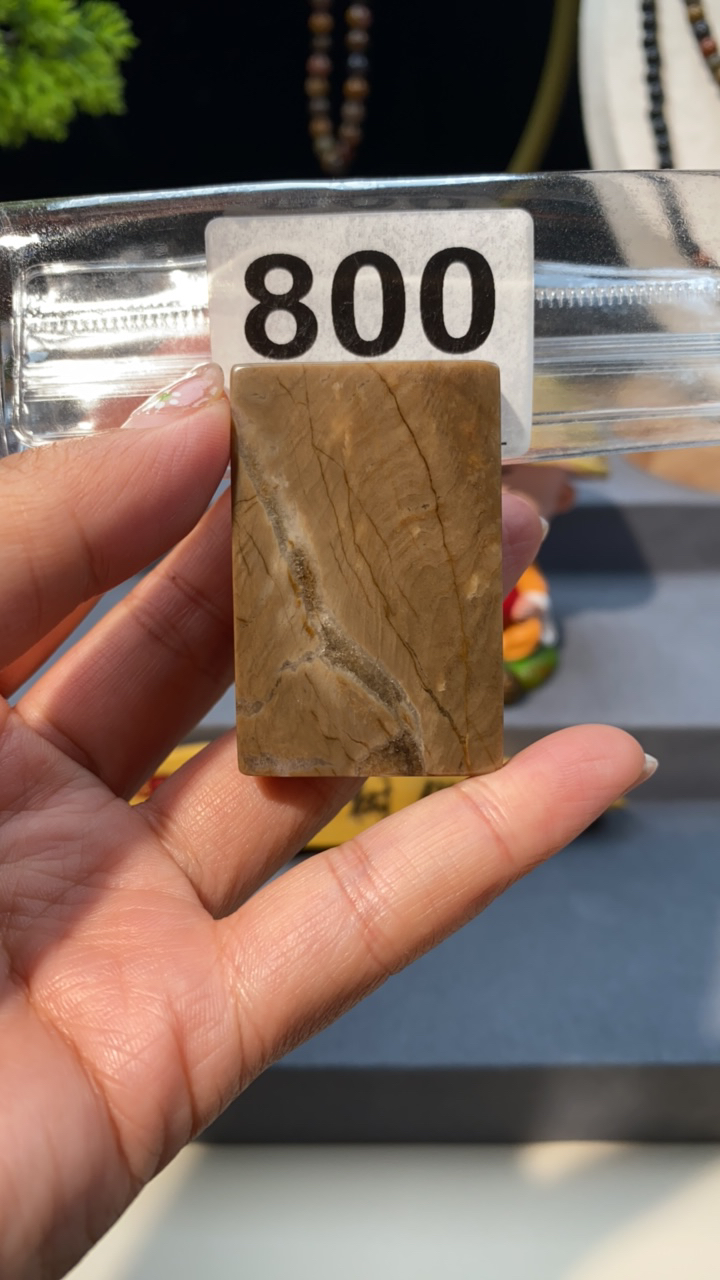 天然北票硅化玉牌子长：49mm宽：32mm厚：9mm