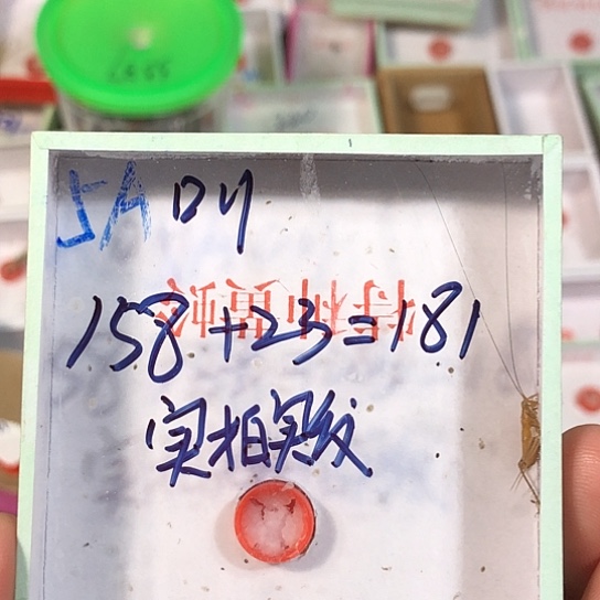 真***7蟋蟀333333333333333