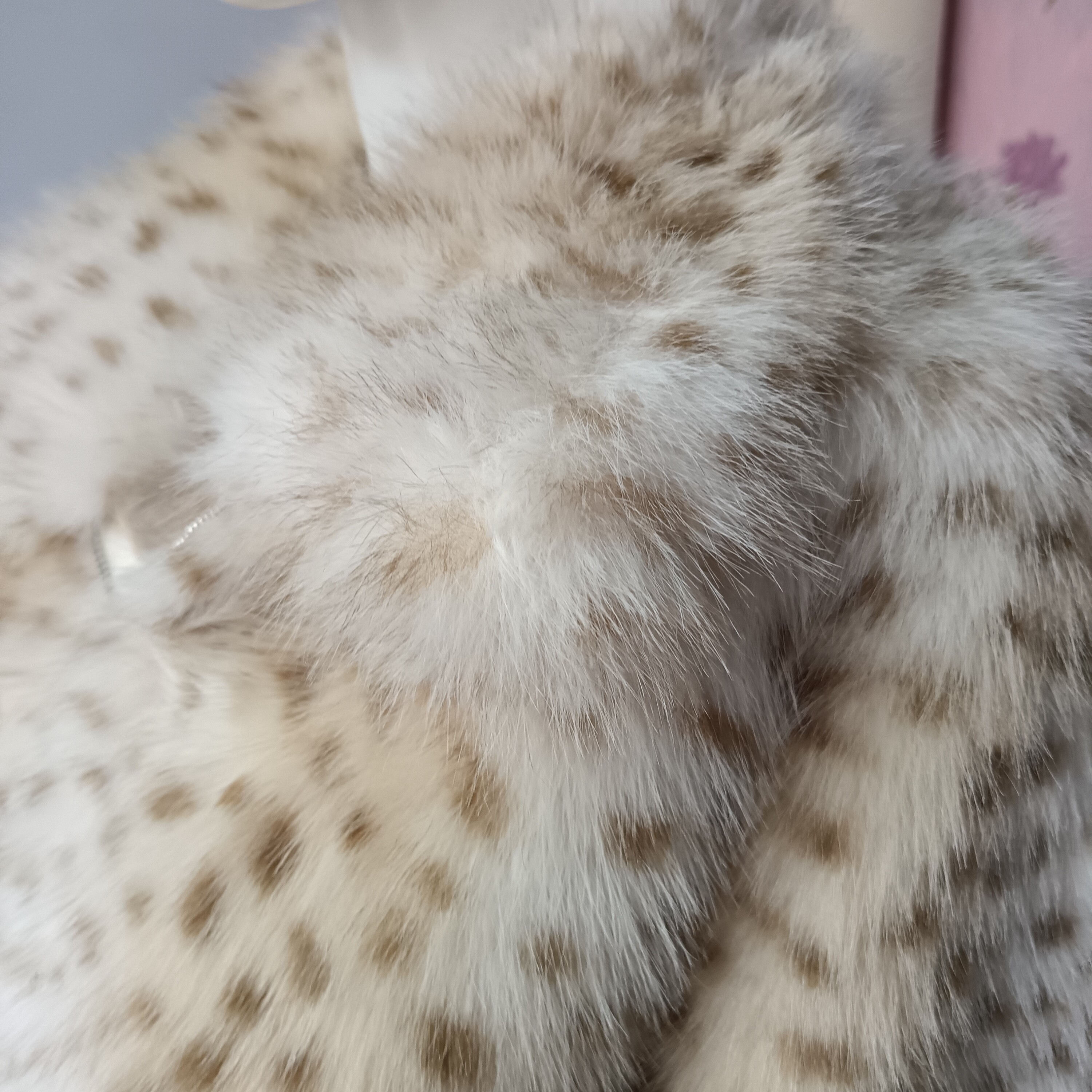 【易梦玲同款】山猫纹豹纹加厚保暖短款高级感毛毛外套