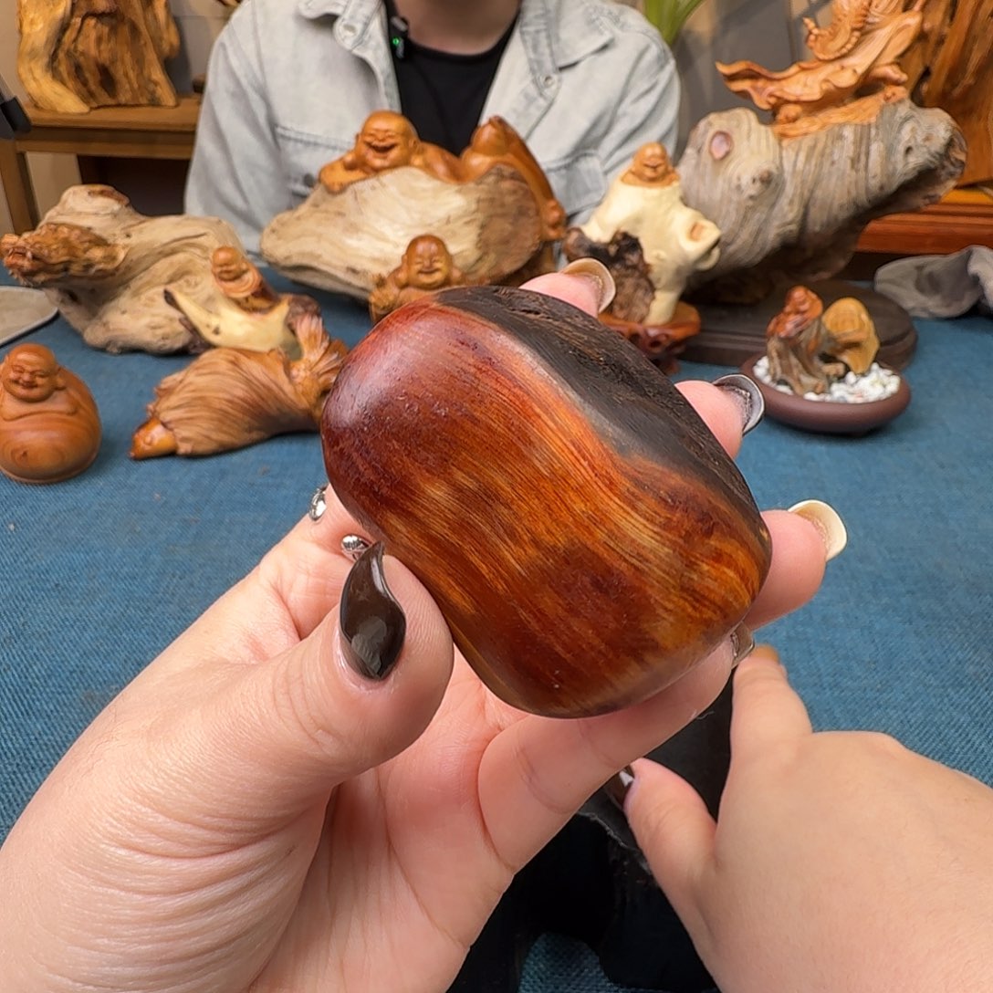 柏木（崖柏）关注一下