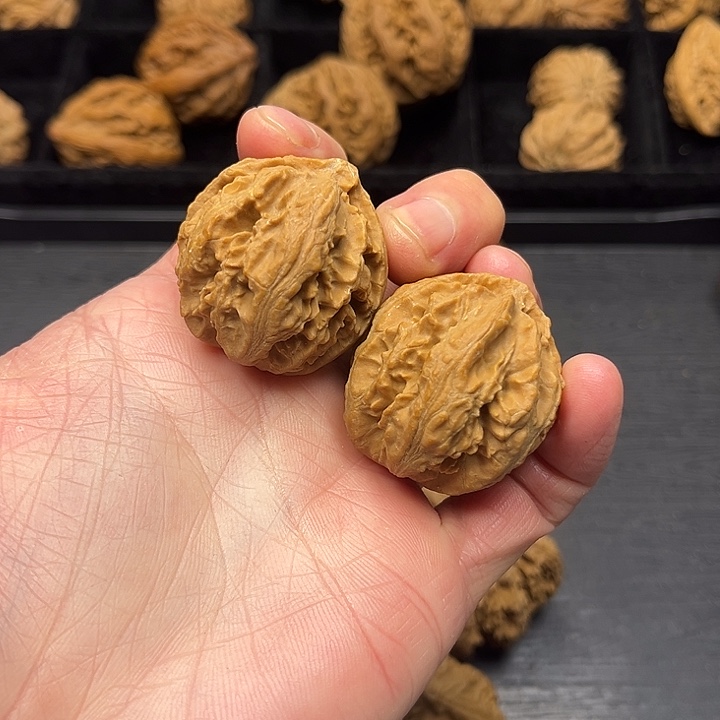 木质类秦岭突突突突突突突突