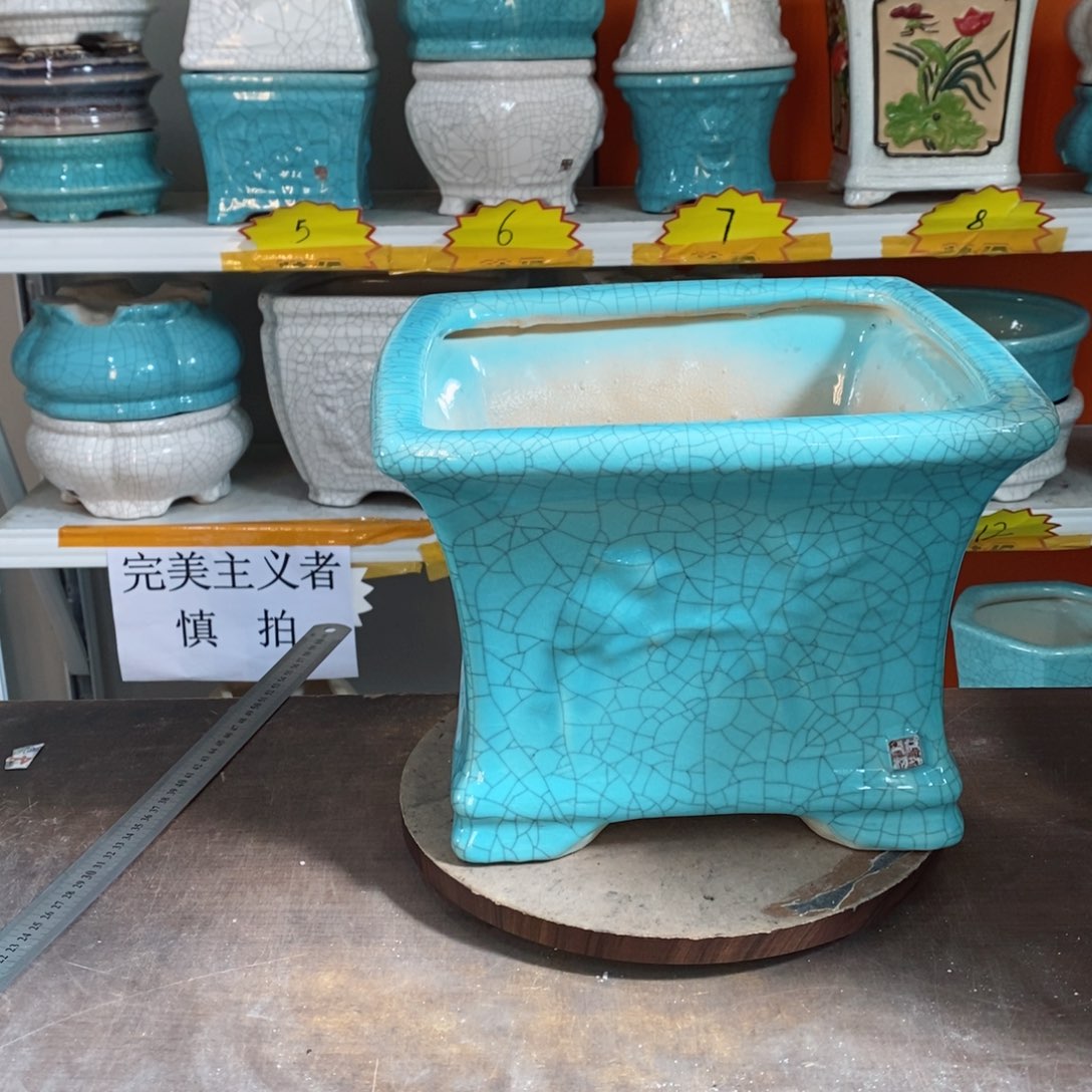 大*花盆花盆都是我的爱
