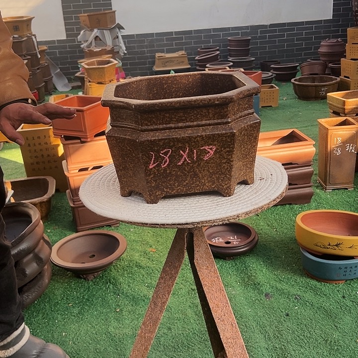 紫砂紫砂花盆呵呵