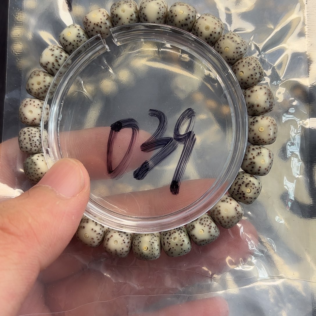 手串星月菩提黑糯039