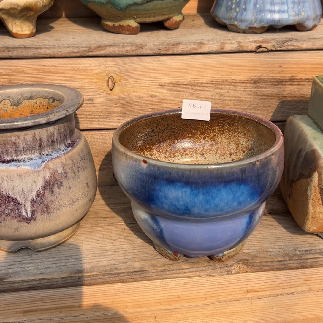 從***，yb81盆盆盆盆盆盆盆