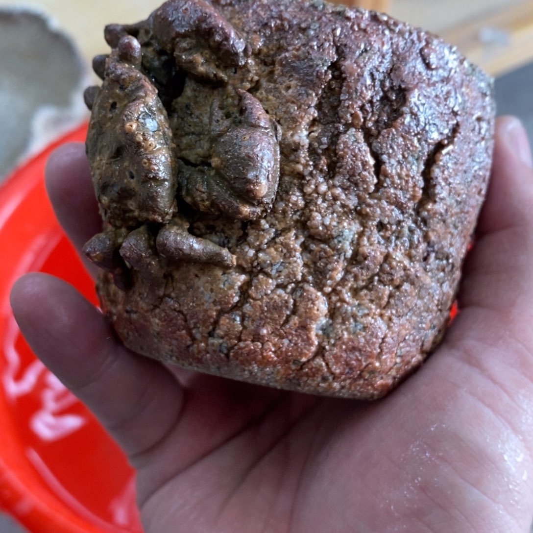 陶园柴烧，精品高货。448瑕