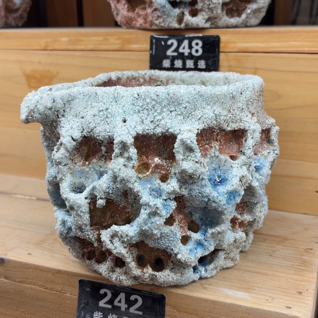 陶园柴烧，精品高货242福利