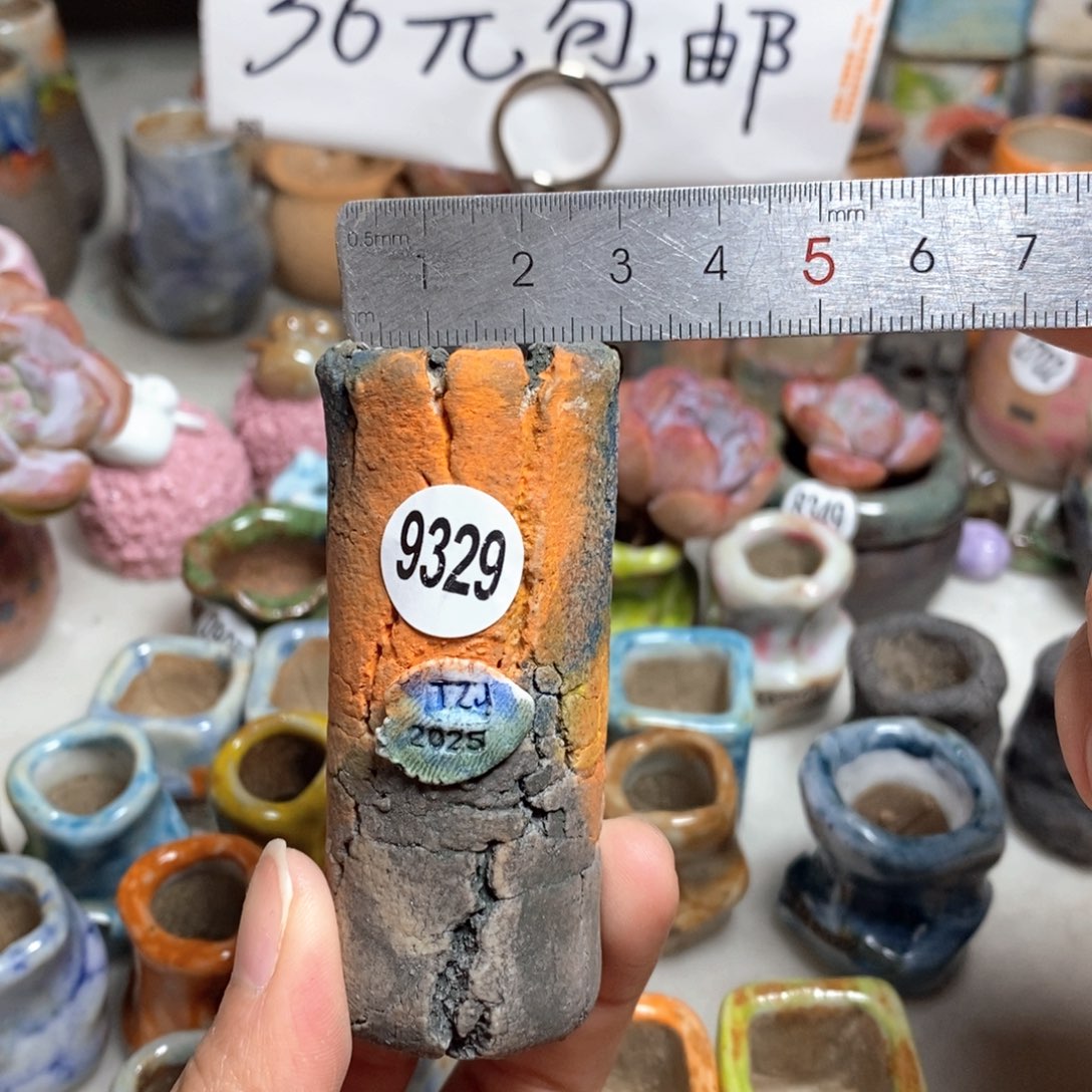 拍3送一个小礼物