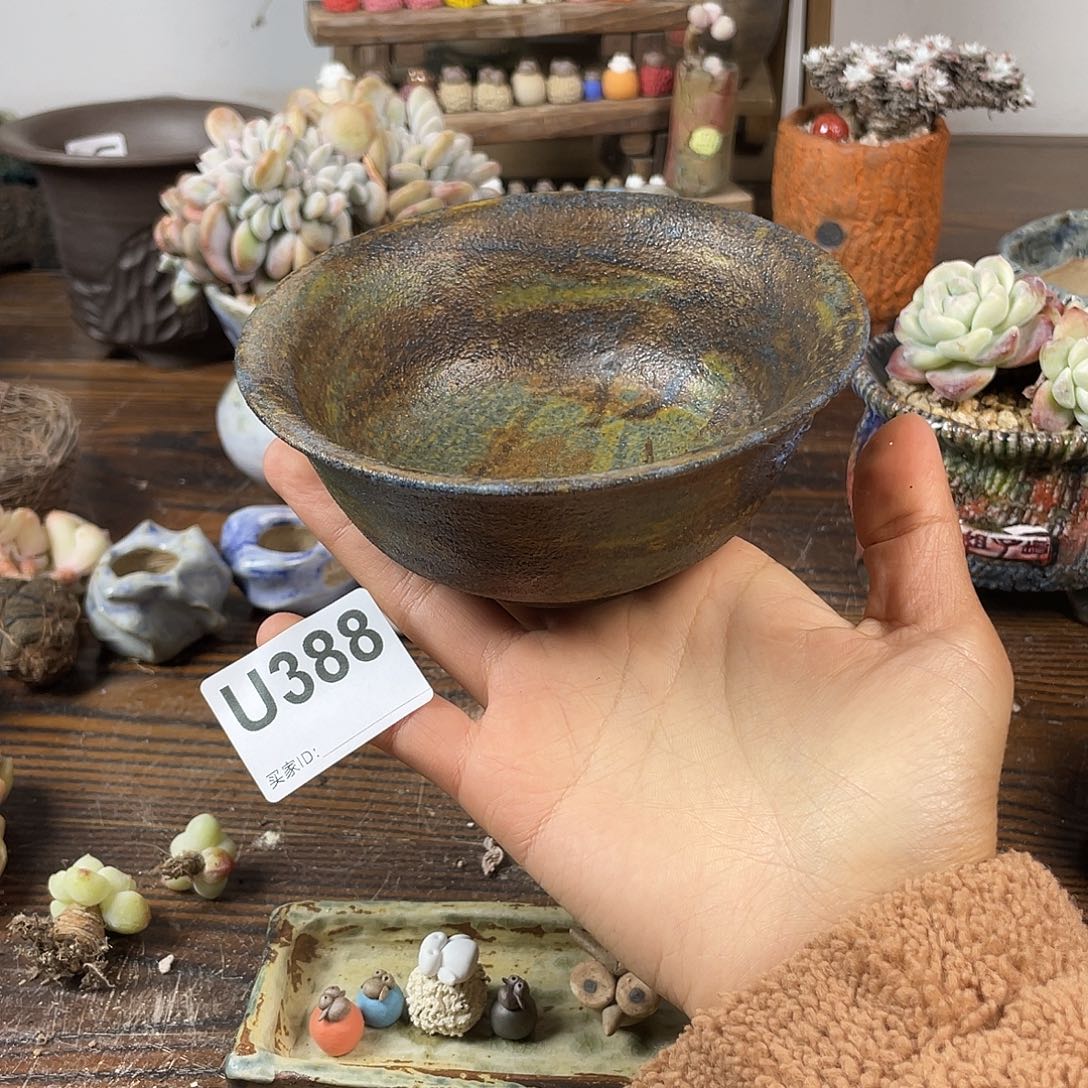 孤品 碗 哈哈哈哈哈