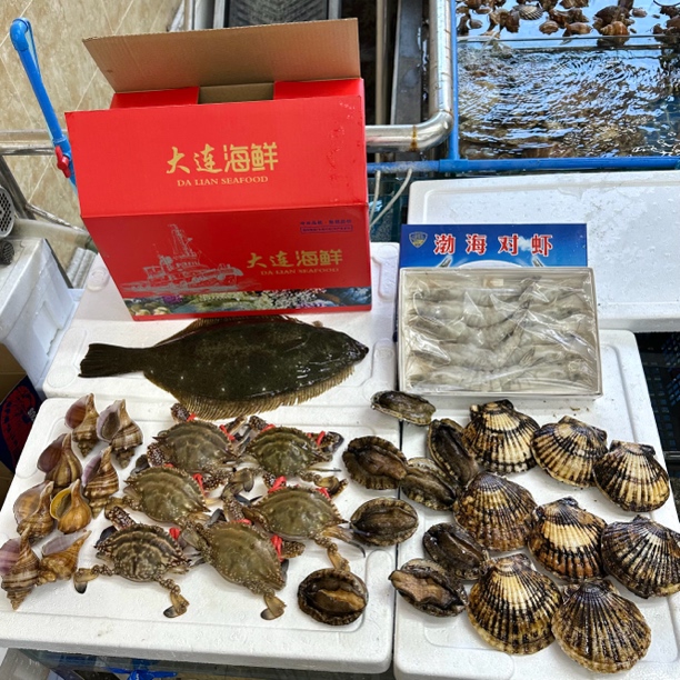 【小两口】母蟹海螺大鲍扇贝/只/斤【保鲜不保活】大连发货省内包邮