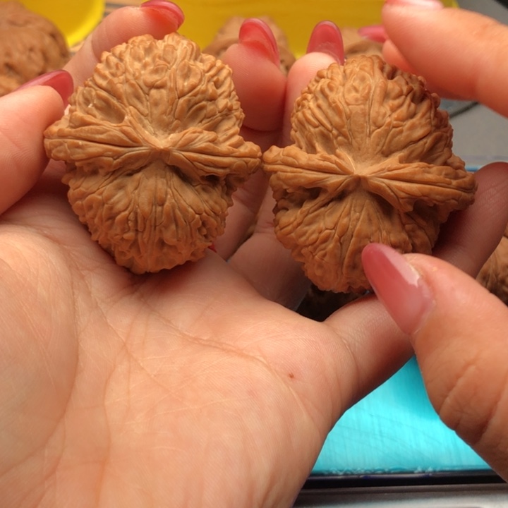 文玩核桃把件41全品白狮子