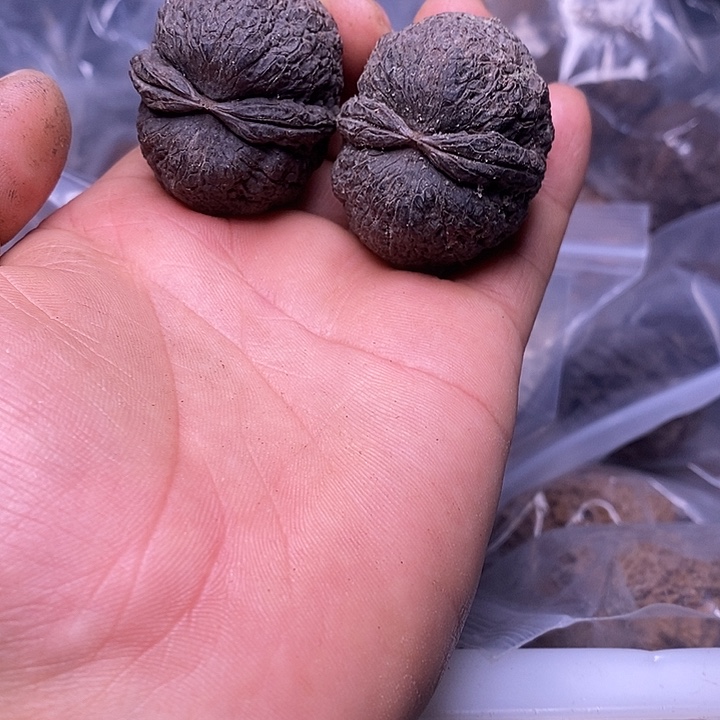 文玩核桃把件   180