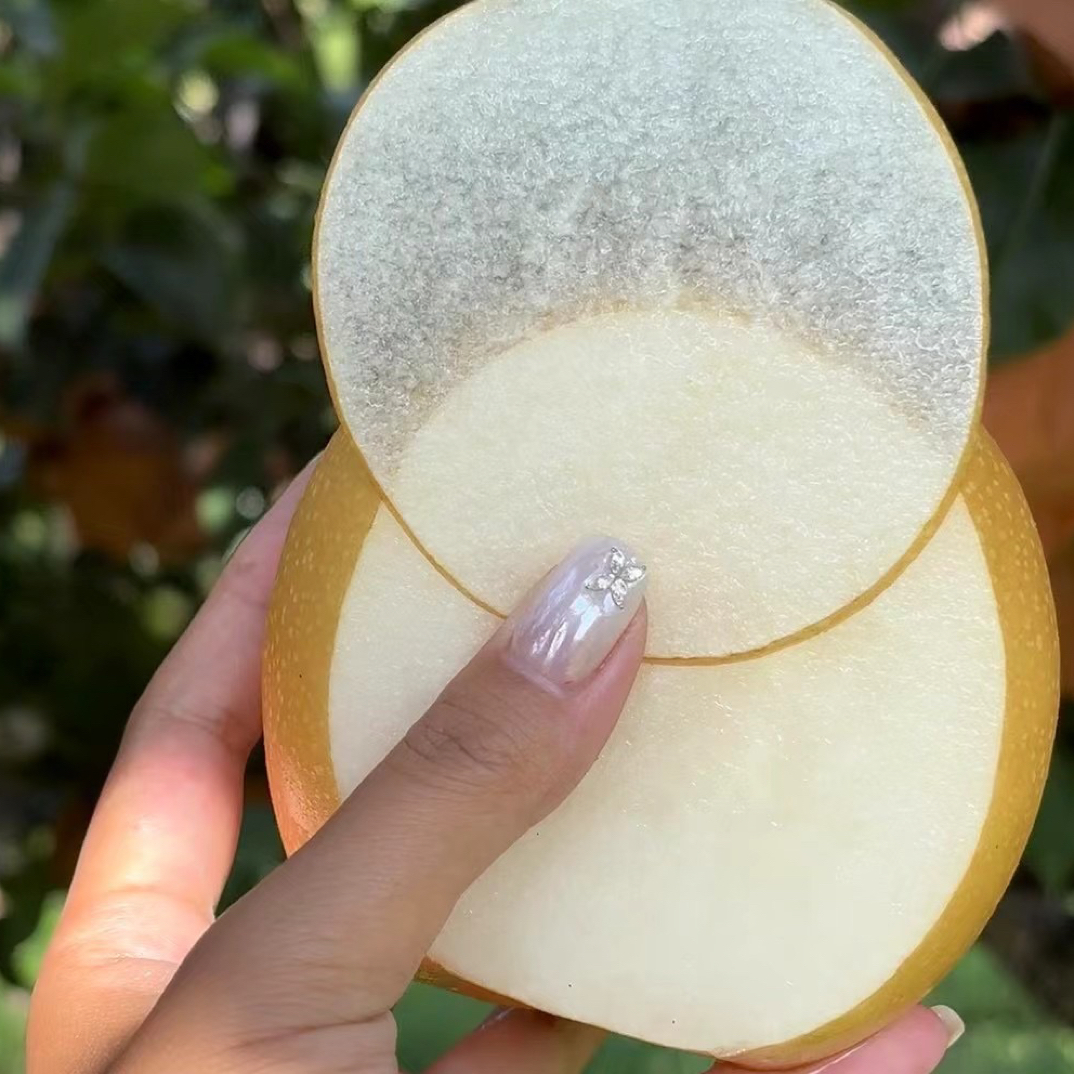 正宗秋月梨大果