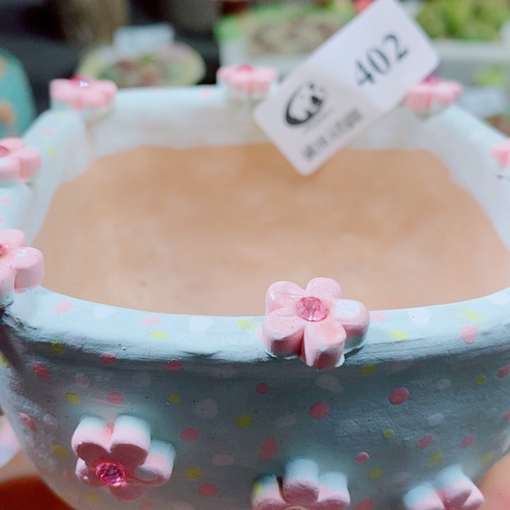 森***＊生石花花花花花花402