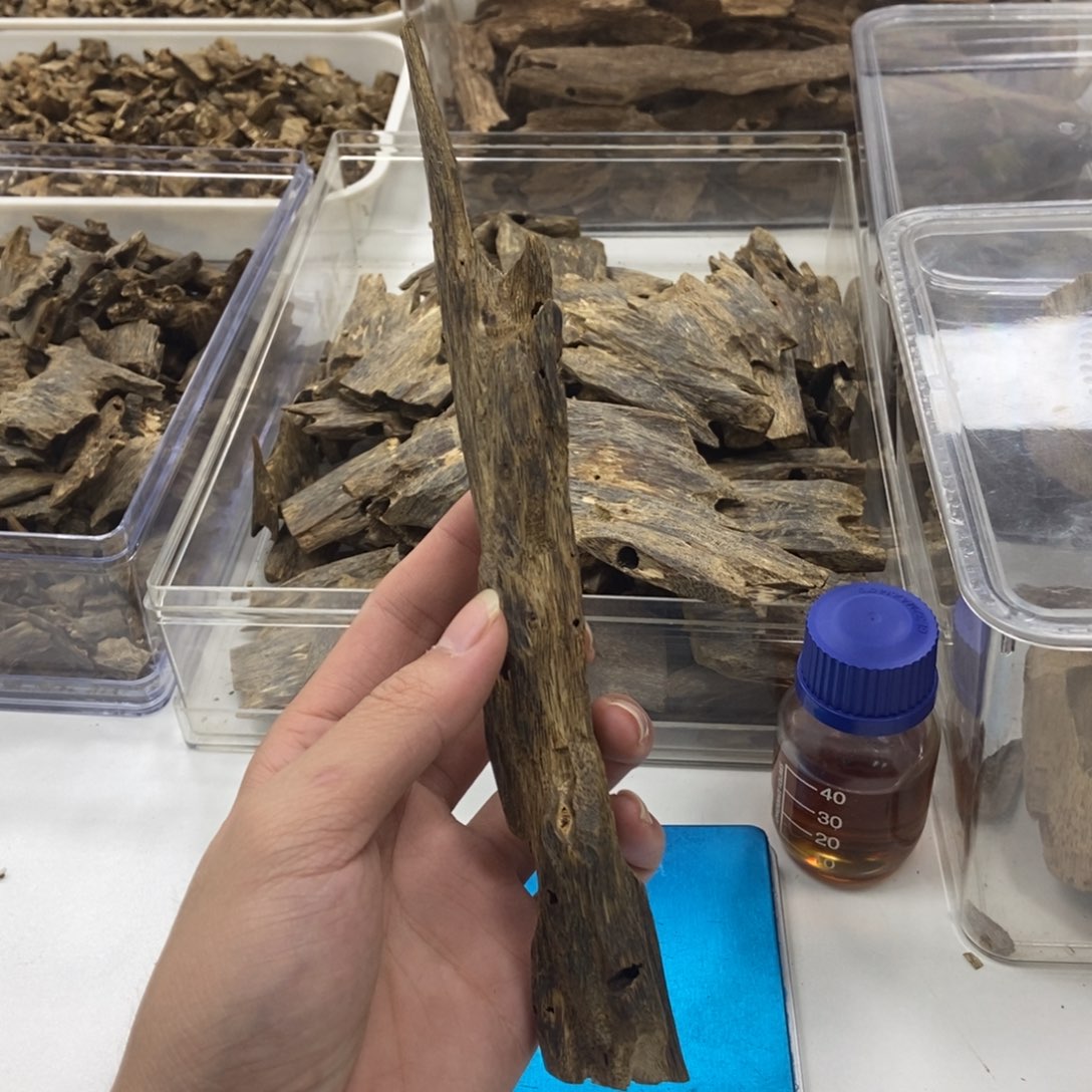 沉香张勺子虫漏24克