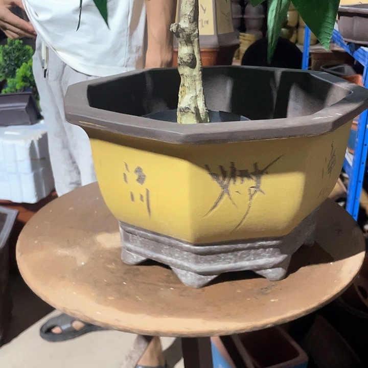 36黄色八方花盆花盆花盆