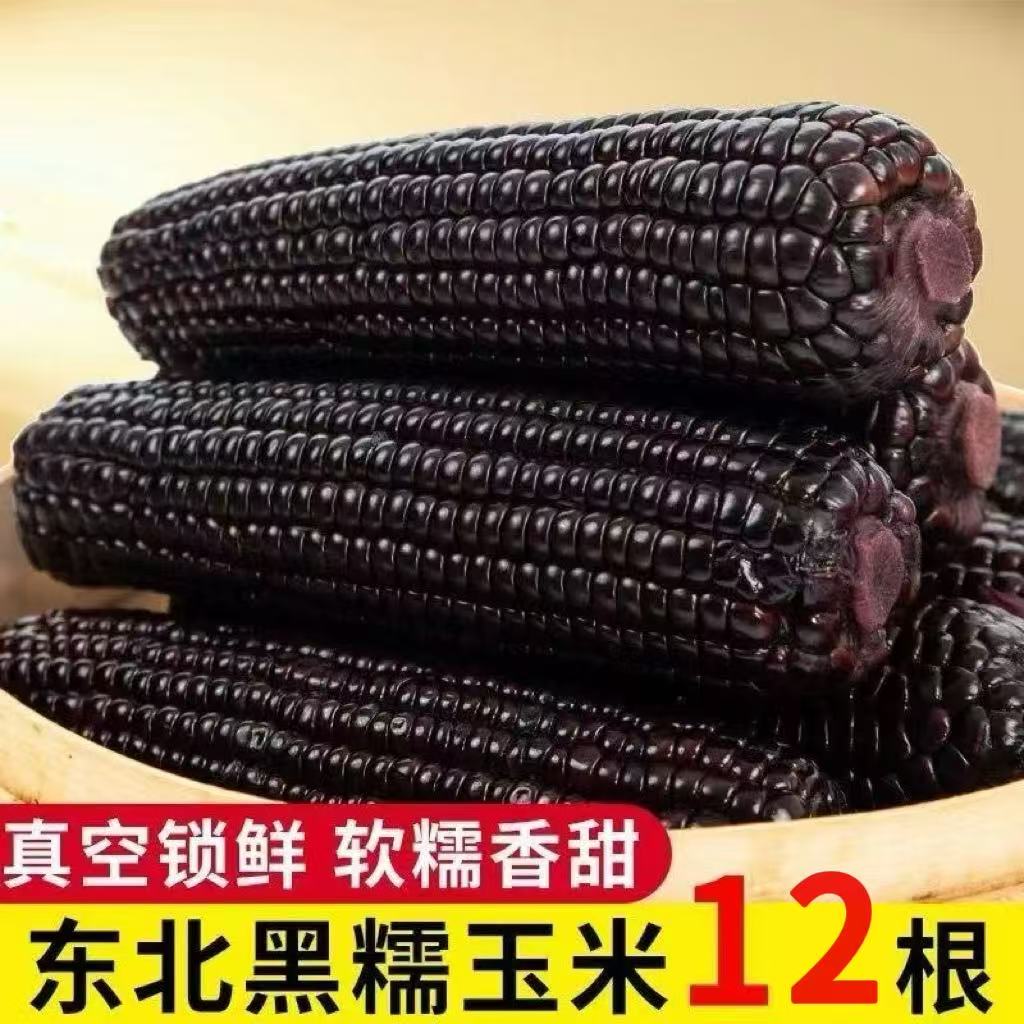 【到手12根】东北头茬甜糯黑糯玉米 真空包装新鲜紫玉米 黑龙江特产