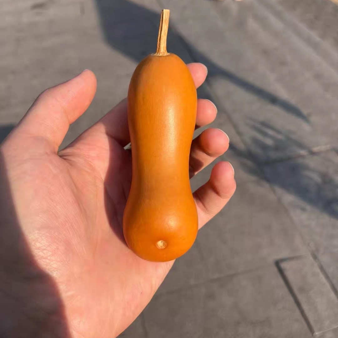 手把件文玩葫芦（一物一拍）