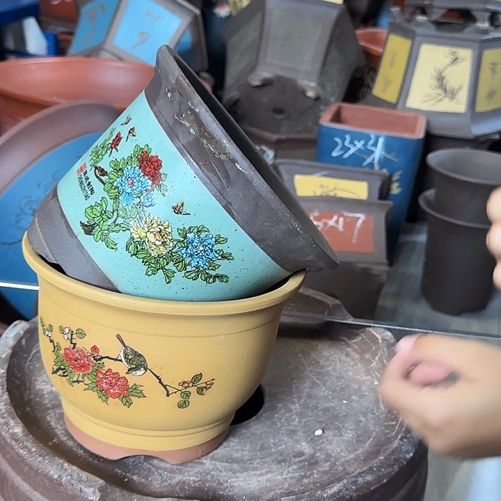 黄色鸟语花香小号+陈波金钟绿色小号