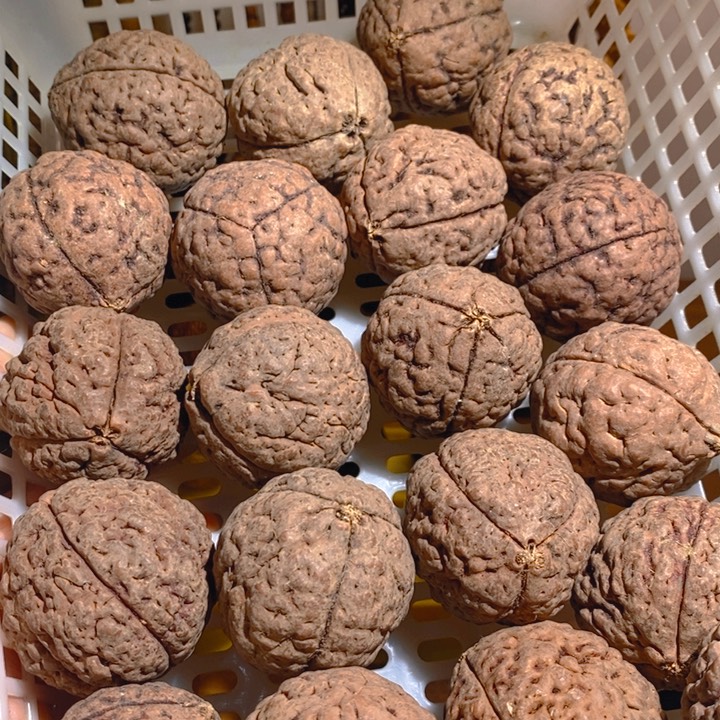 崖***财野生三瓣脑纹大金刚20颗