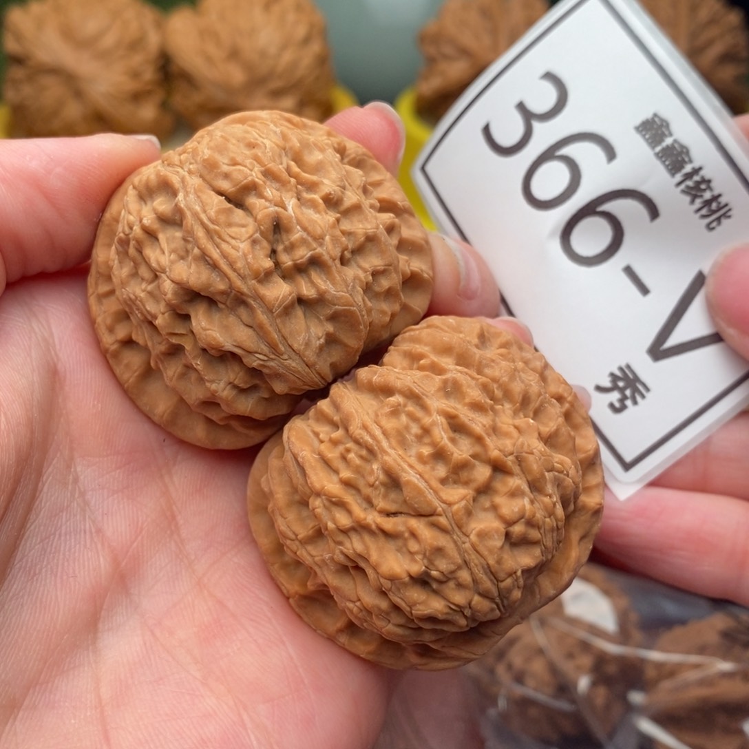 文玩核桃把件白狮42