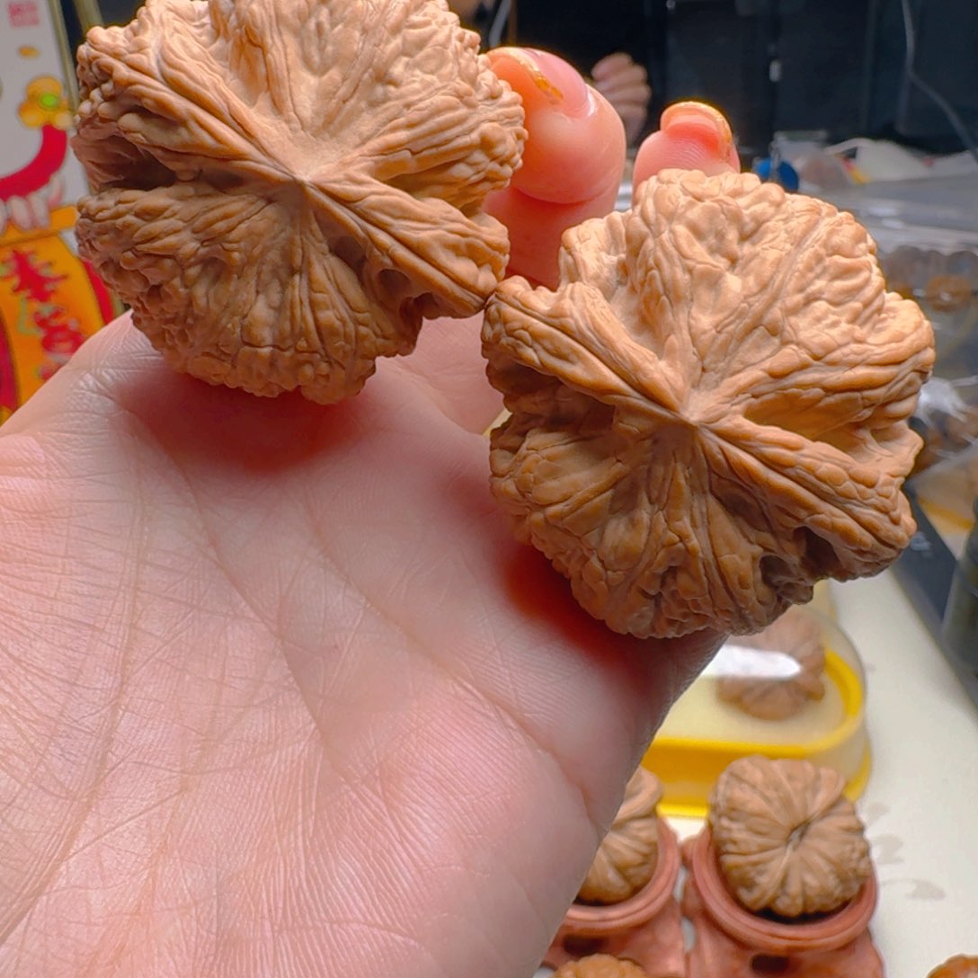 核桃把件45全品粗筋