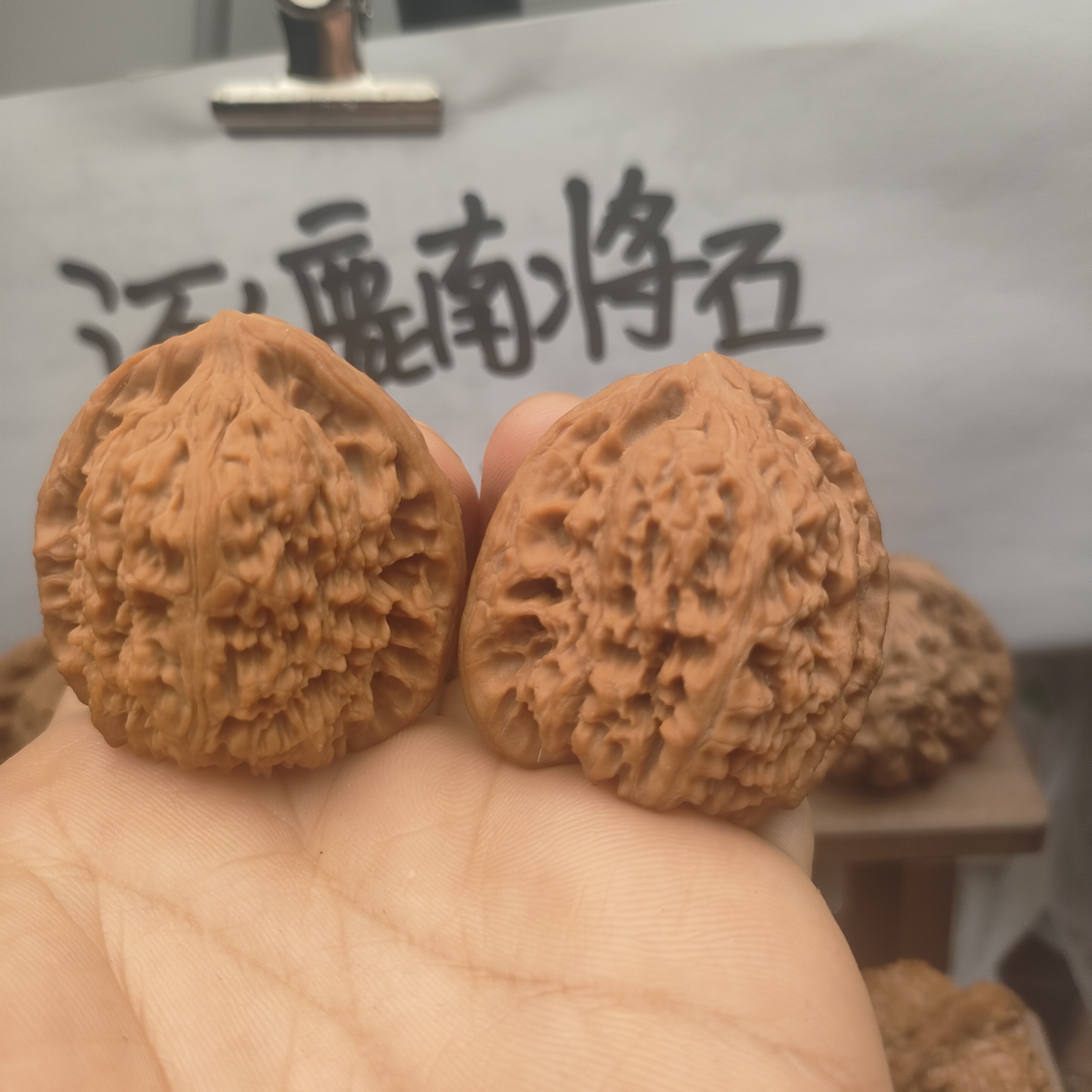 南将石老树新果全品无修