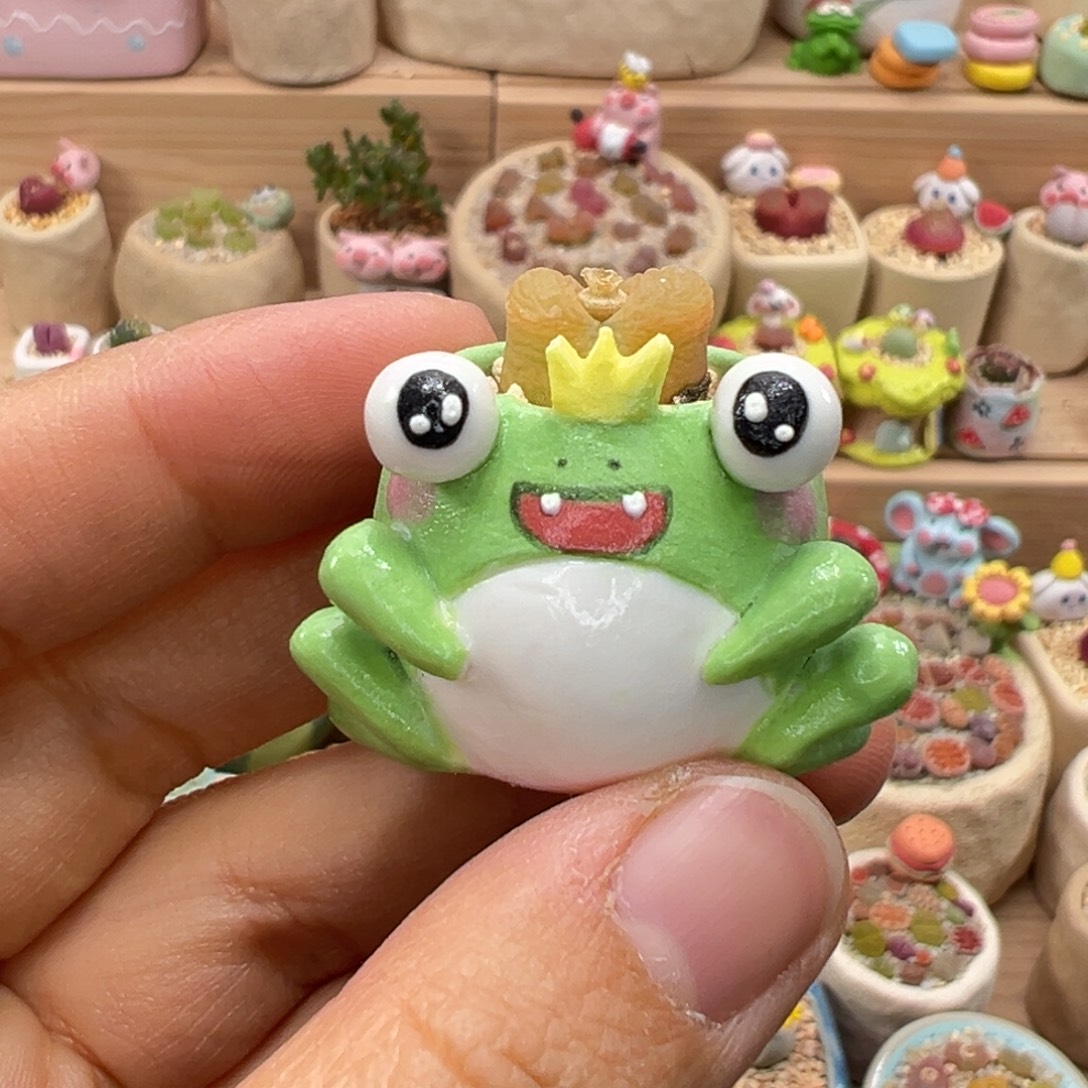 多肉植物161号拇指盆