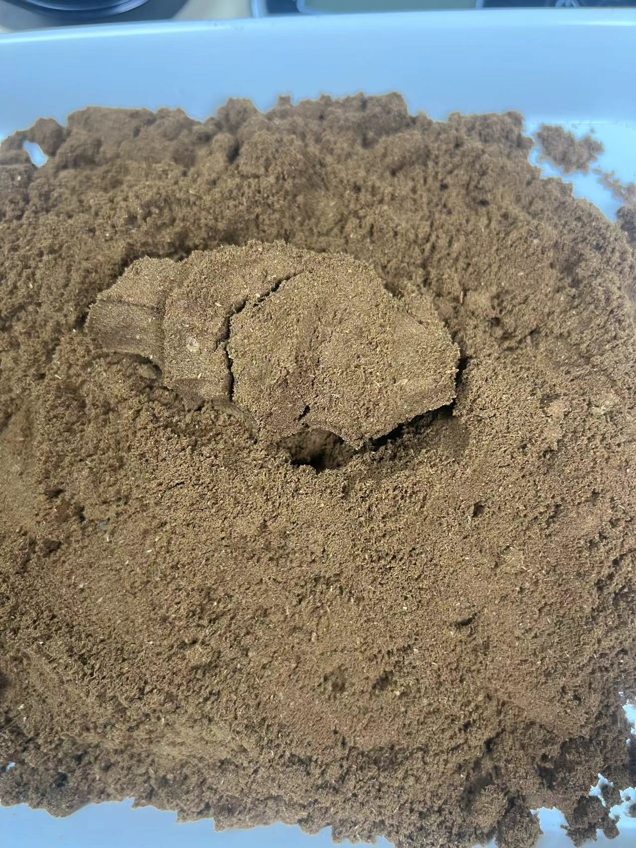 紫罗兰沉水级香粉