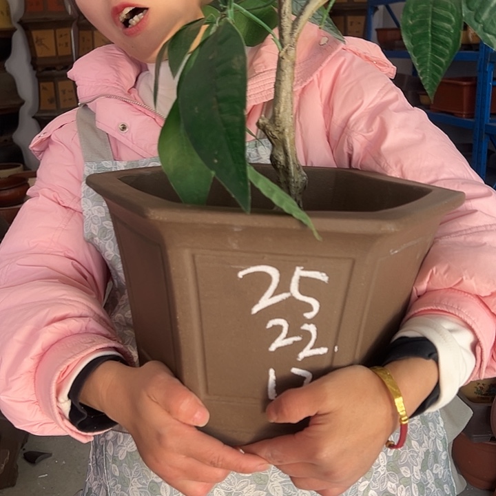 25素面六方花盆花盆花盆花盆花盆