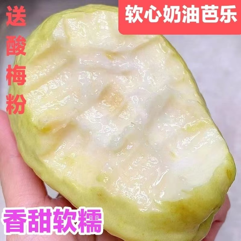 广西封神黄金奶油芭乐广西壮族自治区