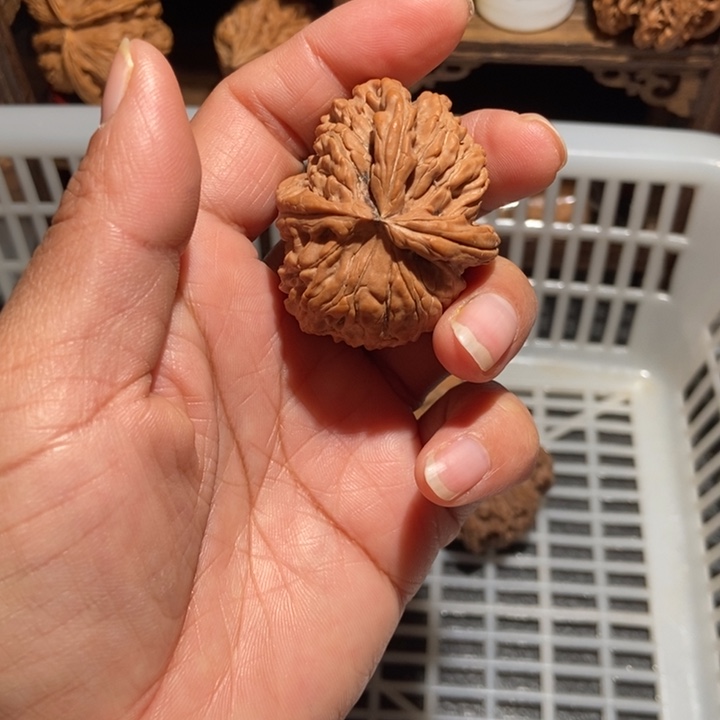 一***二核桃白狮子三棱尺寸43全品