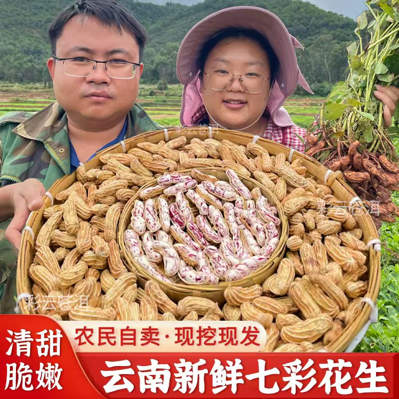 【云南七彩湿花生】当季新鲜现挖现发带壳带泥农家自种1/3/5斤批发