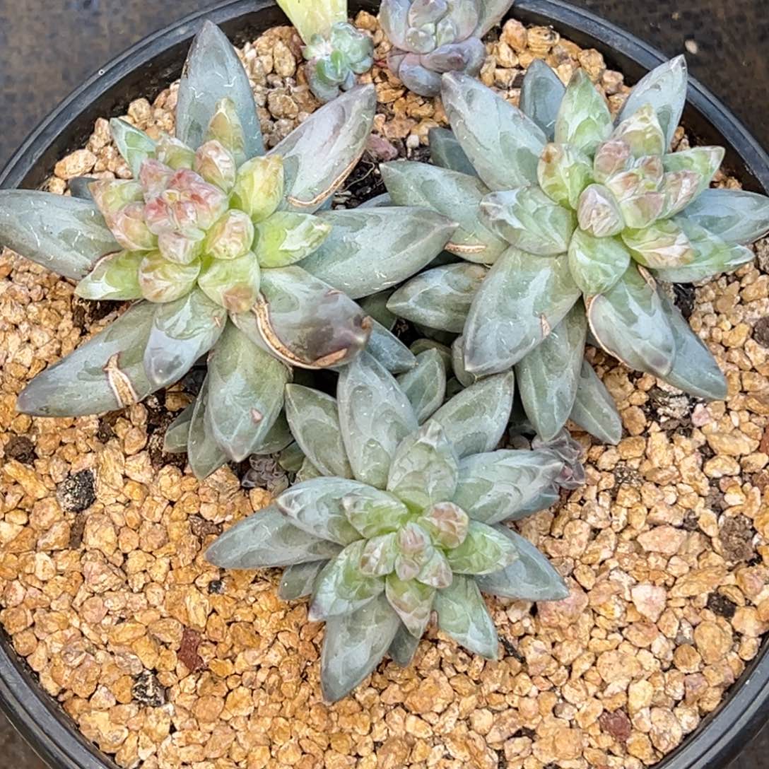 我我我我 个人个体发货