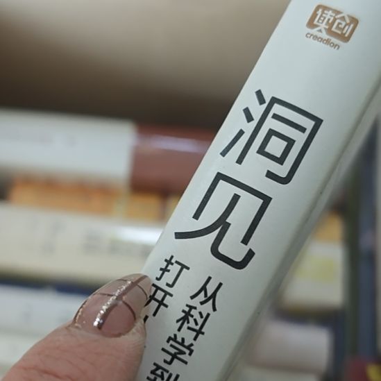 洞-见精装（务必塑封）库存书