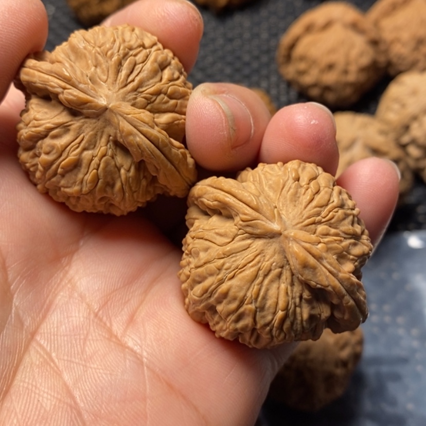 【闪购商品】文玩核桃吊坠汪*汪白狮子