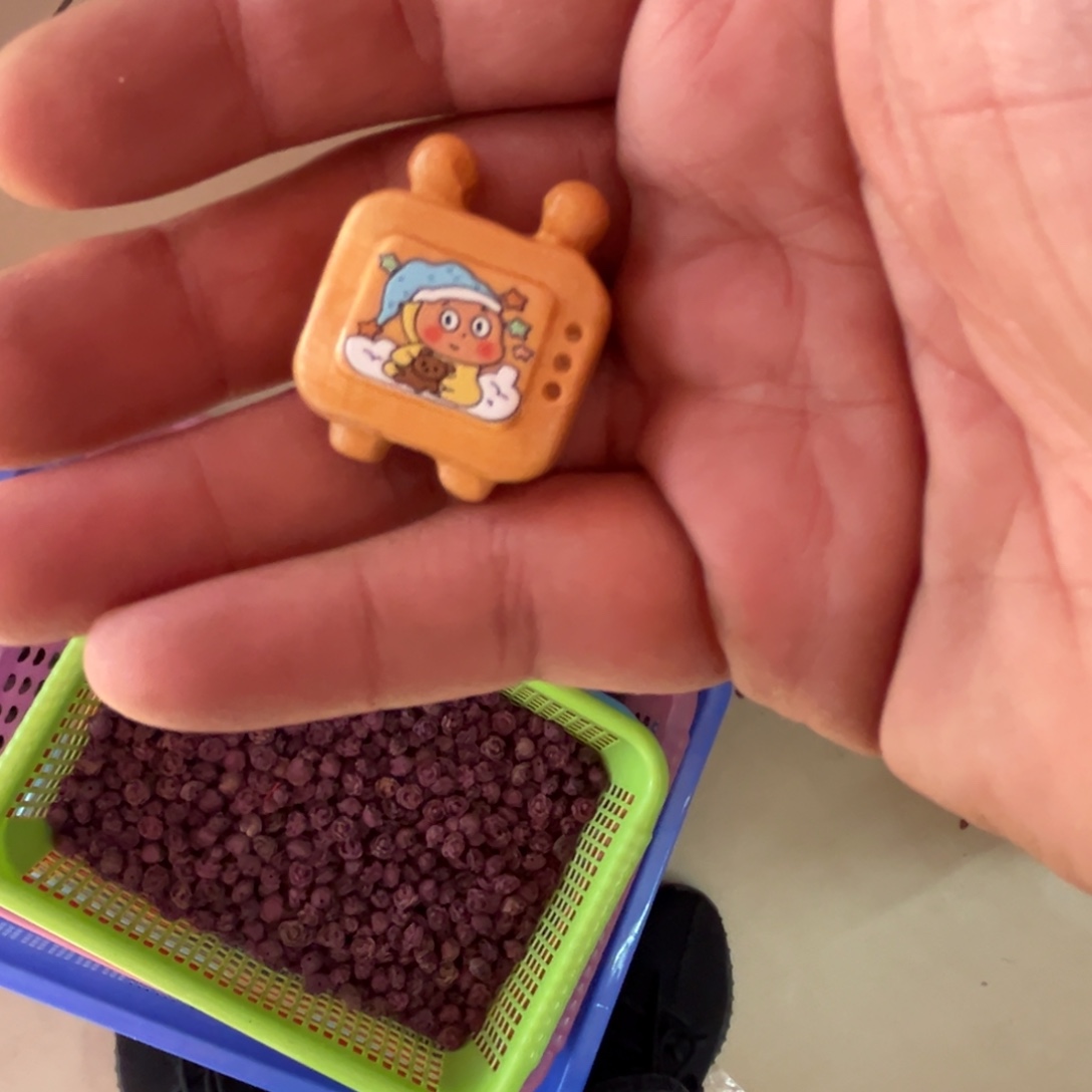 只买单纯的吊坠，没带链子，属的性质。