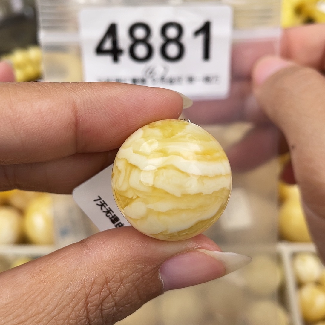 蜜蜡未镶嵌裸石23孔