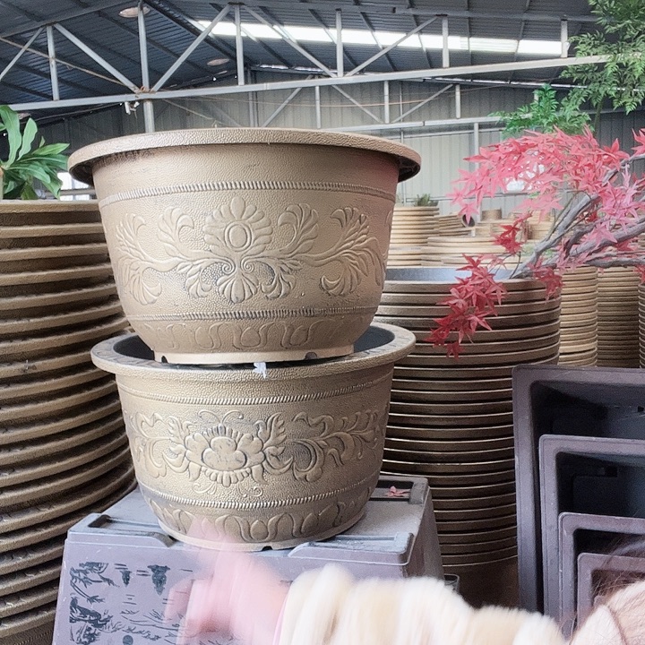 圆78两个有孔金色的