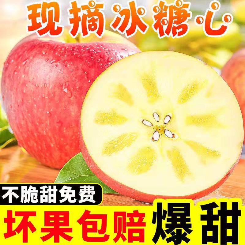 【老客户专享】正宗万荣高山红富士丑苹果冰糖心新鲜水果现摘现发