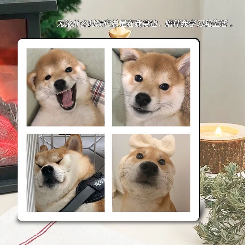 宠物专用相框宠物专属相框