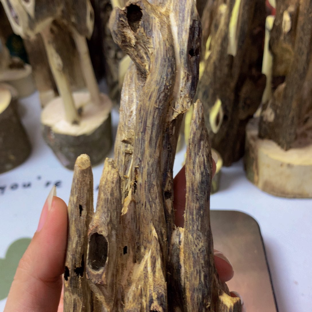 沉香沉香碎屑金沙叶虫漏65克