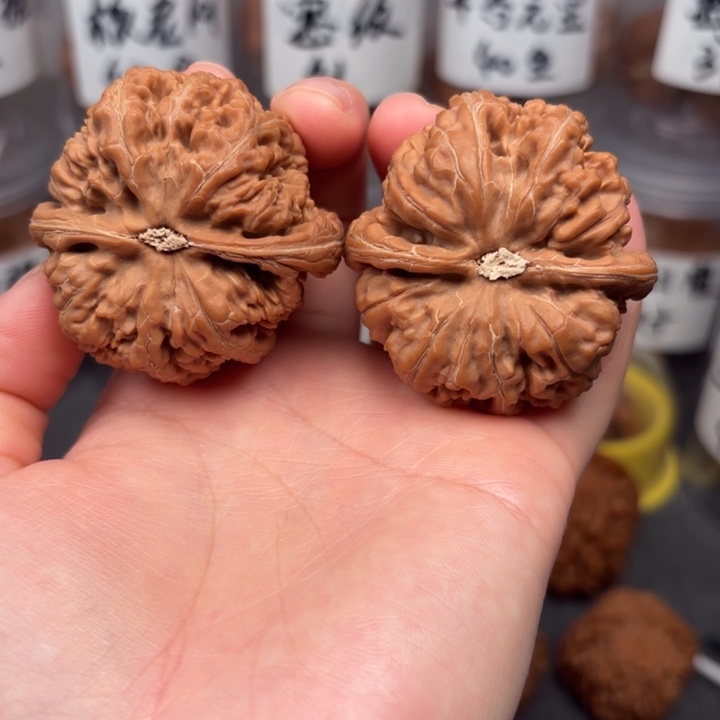 白***王桃核吊坠45大粗筋